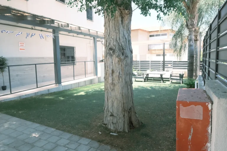 חצר עם עץ גדול ודשא במעון אביב